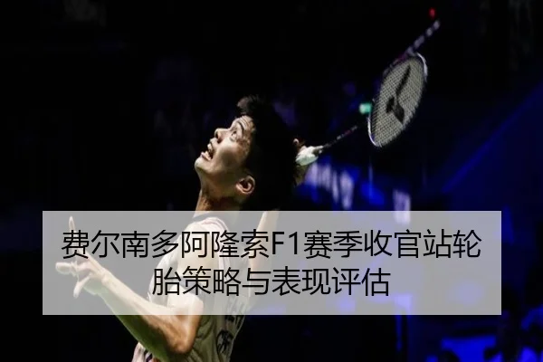 费尔南多阿隆索F1赛季收官站轮胎策略与表现评估